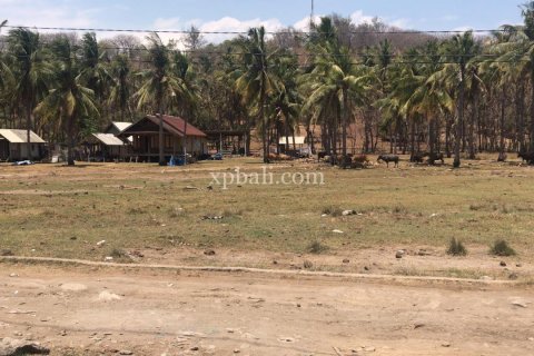 Земельный участок 2605м2 в Gili Trawangan, Гили-Индах, Северный Ломбок, Индонезия № 7882 2
