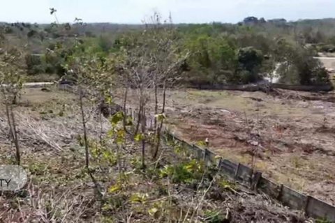 10000m2 Land in Jimbaran, Badung, Indonesia No. 8717