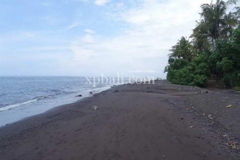5330m2 Land in Karangasem, Karang Asem, Indonesia No. 8720 5