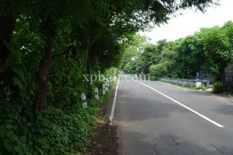 5330m2 Land in Karangasem, Karang Asem, Indonesia No. 8720 12