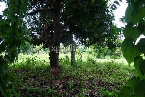 5330m2 Land in Karangasem, Karang Asem, Indonesia No. 8720 2