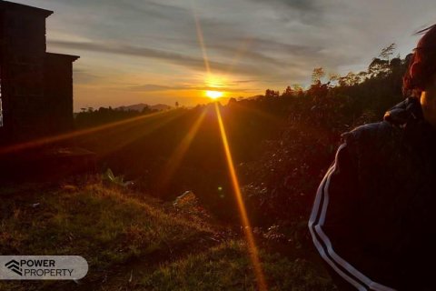 65100m2 Land in Buleleng, Indonesia No. 8719