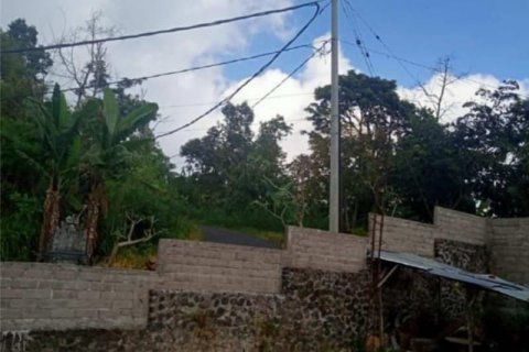65100m2 Land in Buleleng, Indonesia No. 8719 17