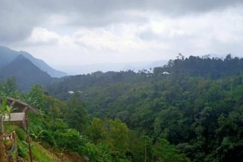 65100m2 Land in Buleleng, Indonesia No. 8719 4