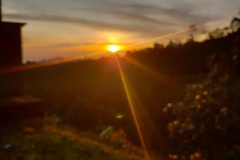65100m2 Land in Buleleng, Indonesia No. 8719 3