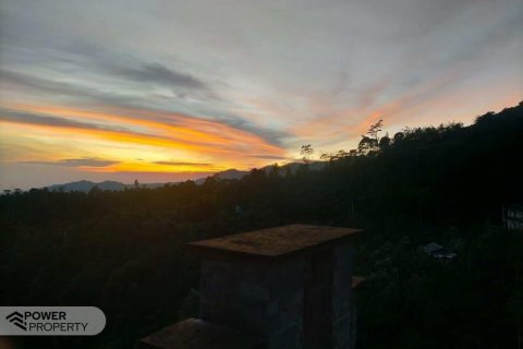 65100m2 Land in Buleleng, Indonesia No. 8719 19
