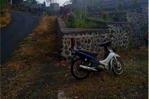 65100m2 Land in Buleleng, Indonesia No. 8719 13