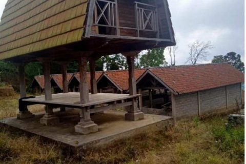 65100m2 Land in Buleleng, Indonesia No. 8719 9