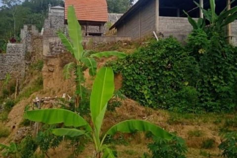 65100m2 Land in Buleleng, Indonesia No. 8719 18