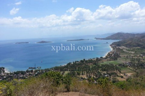 12828m2 Land in Indonesia No. 8721