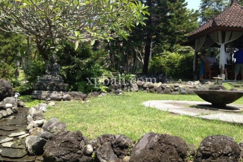 18 bedrooms Villa in Gianyar, Indonesia No. 13623