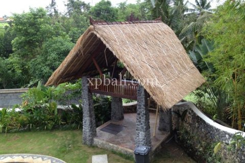 Вилла с 5 спальнями в Canggu, Бадунг, Индонезия № 13620 3