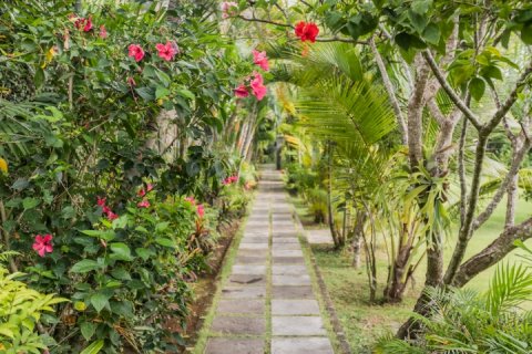 3 bedrooms Villa in Seminyak, Badung, Indonesia No. 1696 26