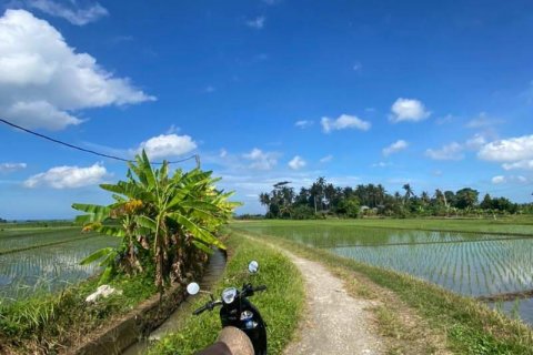 5500m2 Land in Tabanan, Indonesia No. 8803 10