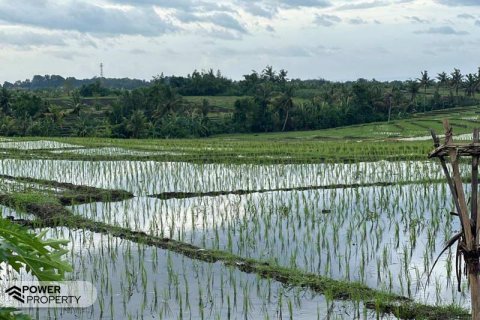 5500m2 Land in Tabanan, Indonesia No. 8803 4