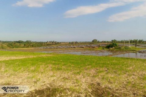 5500m2 Land in Tabanan, Indonesia No. 8803