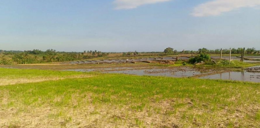 5500m2 Land in Tabanan, Indonesia No. 8803