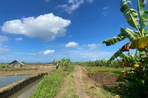 5500m2 Land in Tabanan, Indonesia No. 8803 12