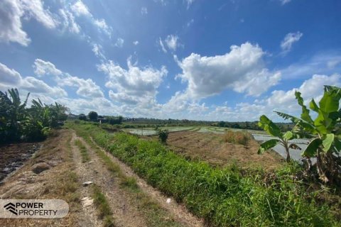 5500m2 Land in Tabanan, Indonesia No. 8803 7