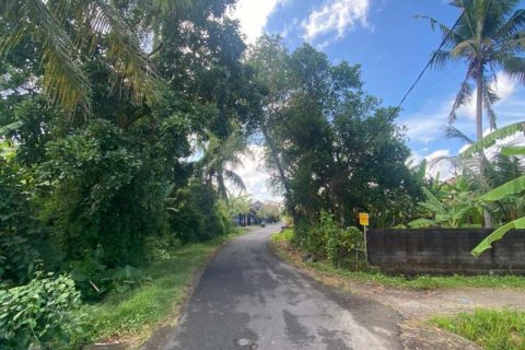 5500m2 Land in Tabanan, Indonesia No. 8803 13