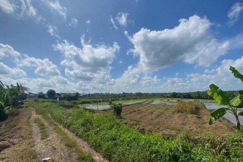 5500m2 Land in Tabanan, Indonesia No. 8803 9