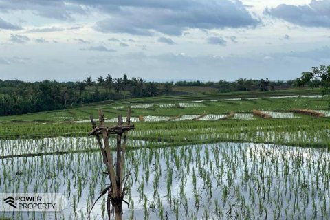 5500m2 Land in Tabanan, Indonesia No. 8803 6