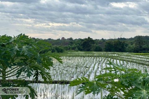 5500m2 Land in Tabanan, Indonesia No. 8803 8