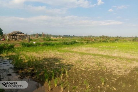 5500m2 Land in Tabanan, Indonesia No. 8803 2