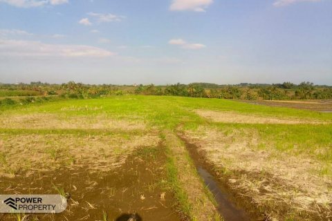 5500m2 Land in Tabanan, Indonesia No. 8803 3