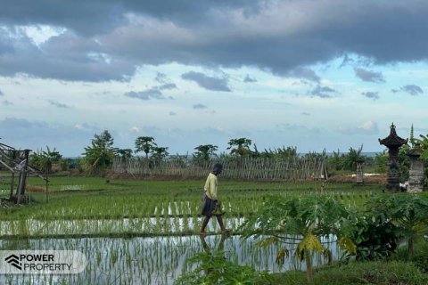 5500m2 Land in Tabanan, Indonesia No. 8803 5