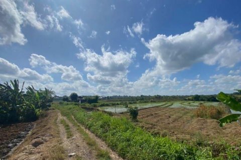 5500m2 Land in Tabanan, Indonesia No. 8803 11