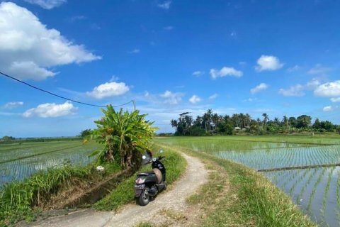 5500m2 Land in Tabanan, Indonesia No. 8803 14