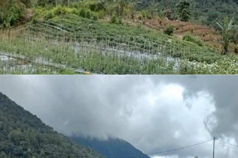 5000m2 Land in Buleleng, Indonesia No. 8805 3