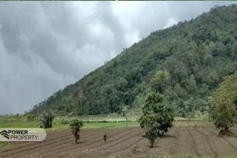 5000m2 Land in Buleleng, Indonesia No. 8805