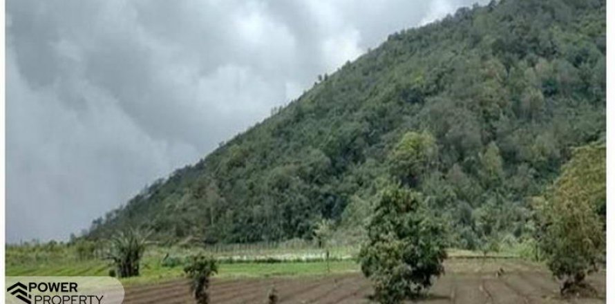 5000m2 Land in Buleleng, Indonesia No. 8805