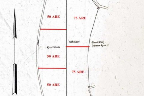 5000m2 Land in Buleleng, Indonesia No. 8805 8