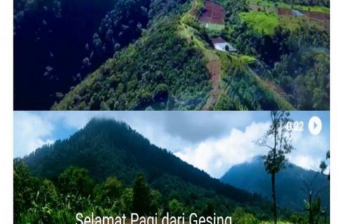 5000m2 Land in Buleleng, Indonesia No. 8805 5