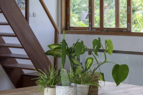5 bedrooms Villa in Tampaksiring, Gianyar, Indonesia No. 8802 19