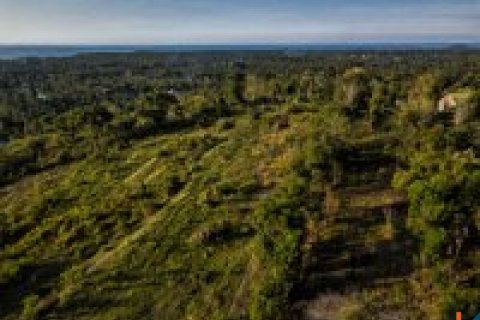 Land in Buleleng, Indonesia No. 11634 15