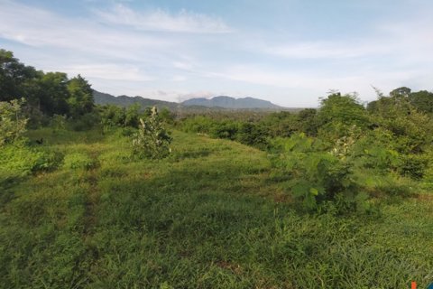 Land in Buleleng, Indonesia No. 11634 12