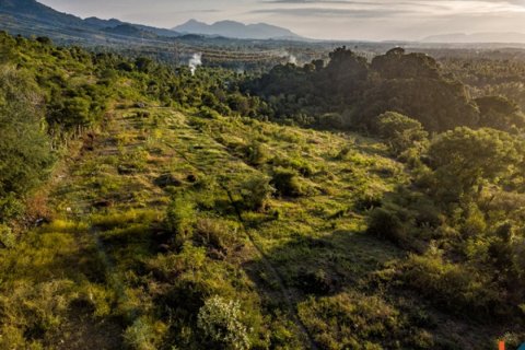 Land in Buleleng, Indonesia No. 11634 8