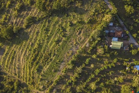 Land in Buleleng, Indonesia No. 11634 2