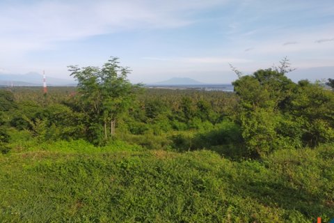 Land in Buleleng, Indonesia No. 11634 13