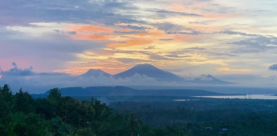 Land in Buleleng, Indonesia No. 11634