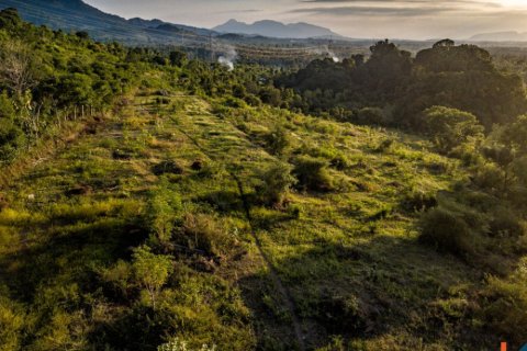 Land in Buleleng, Indonesia No. 11634 10