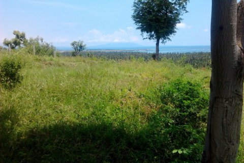 Land in Buleleng, Indonesia No. 11634 6