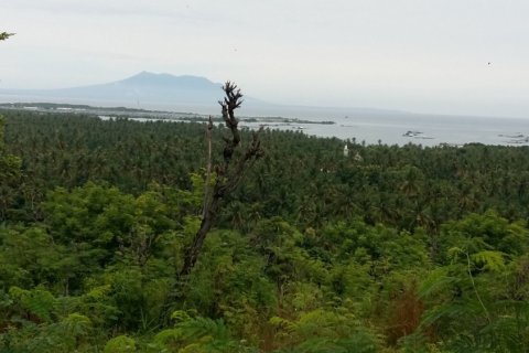 Land in Buleleng, Indonesia No. 11634 7
