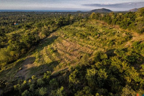 Land in Buleleng, Indonesia No. 11634 3