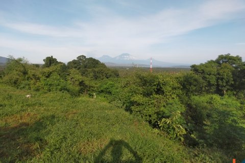Land in Buleleng, Indonesia No. 11634 11