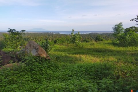 Land in Buleleng, Indonesia No. 11634 14